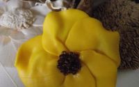 Brosa Sun Flower