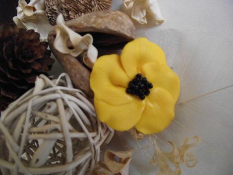 Brosa Sun Flower