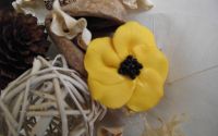Brosa Sun Flower