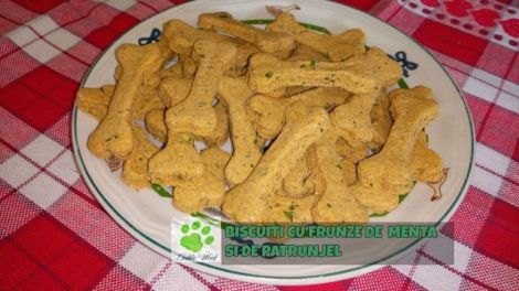 Biscuiti cu frunze de menta si de patrunjel