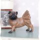 MOPS DECORATIV DIN RASINI