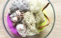 Licheni Stabilizati Winter Mix WMBR16 