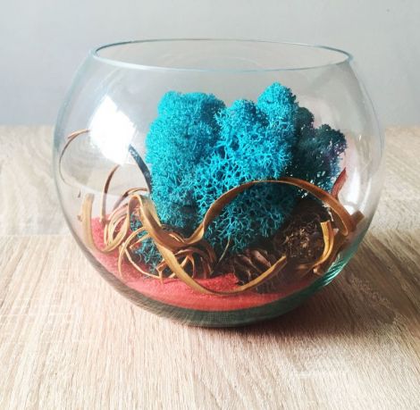 Licheni decorativi Blue Forest 