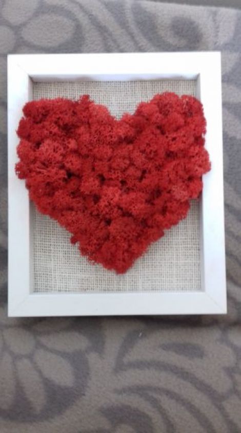 Tablou handmade din licheni in forma de inima