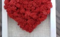 Tablou handmade din licheni in forma de inima