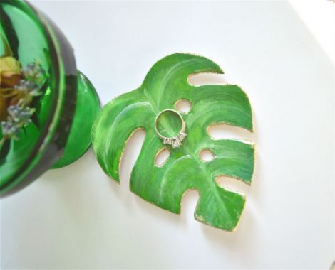 Farfurioara Monstera