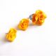 set fimo 