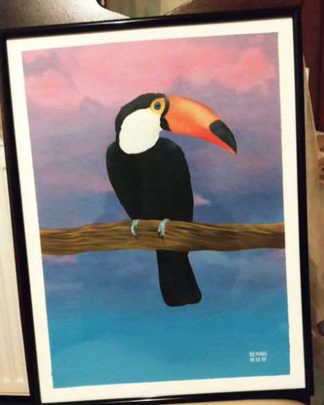 Pictura papagal Tucan
