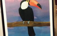 Pictura papagal Tucan