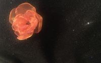 Brosa floare de mac