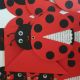 Invitatii botez fetita buburuza