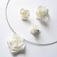 set fimo mireasa