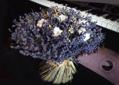 Buchet levantica uscata