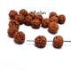 Margele seminte rudraksha 7-8mm MA013