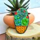 Brosa Cactus