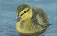 Tablou pictat acrilice pe panza canvas Baby duck