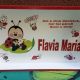 Tava pentru mot cu buburuza
