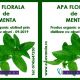 Apa florala de menta 100 ml