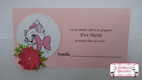 Plicuri dar botez Pisicuta