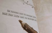 Produse Vintage Personalizate 