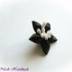 Steluta neagra - brosa floare stea