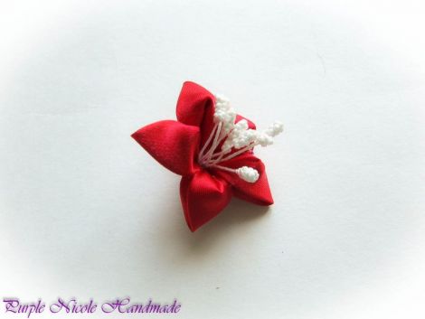 Steluta roie - brosa floare stea