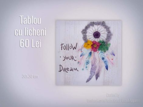 Tablou cu licheni stabilizati