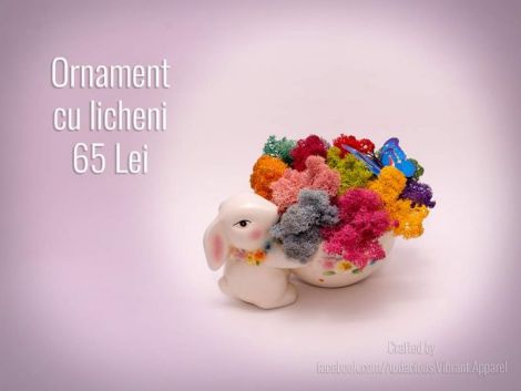 Aranjament iepuras cu licheni stabilizati