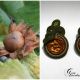 Cercei reciclati din capsule de cafea Alune