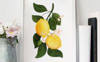Lemons - ORIGINAL