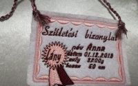 certificat de nastere brodat