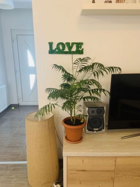 Decoratiune "Love"