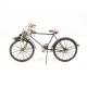 Model de bicicleta 