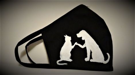 Masti pentru iubitorii de animale