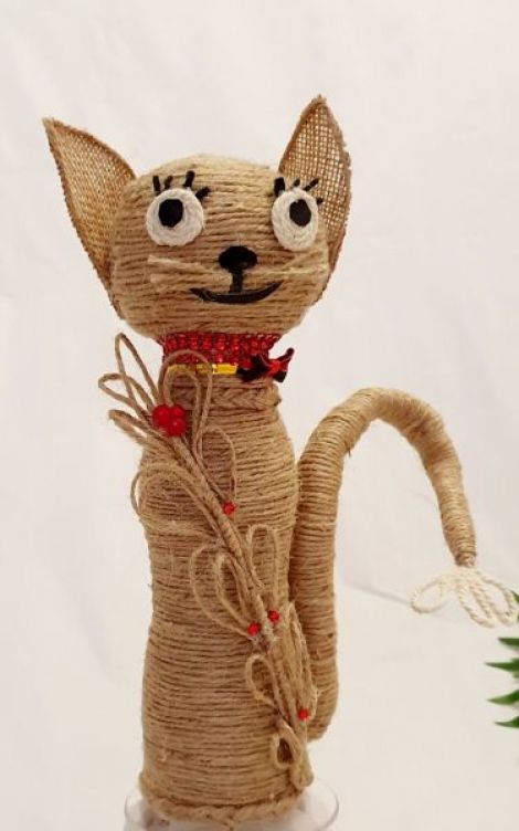 Cat Zoy