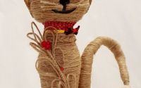 Cat Zoy