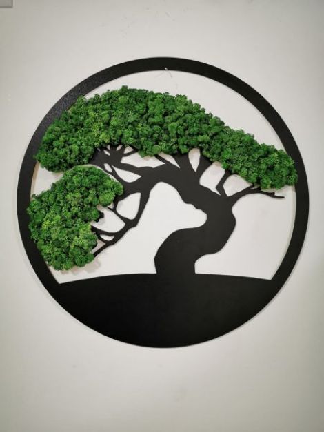 Tablou cu licheni Bonsai  Copacul vietii