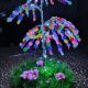 Copac Ornamental Iluminat