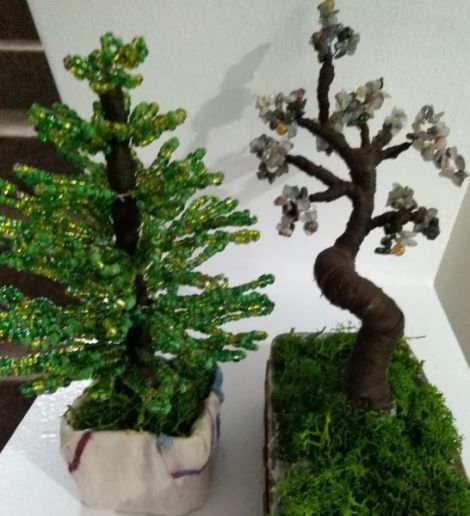 bradut si copacel bonsai