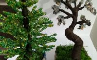 bradut si copacel bonsai