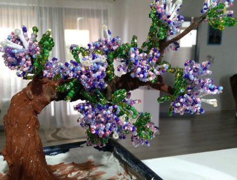 liliac bonsai