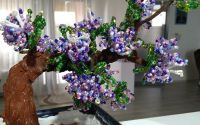 liliac bonsai