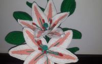 Flori Croetate 