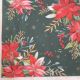 Poinsettia on Green