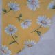 Daisies on Yellow