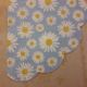 Daisies on Blue