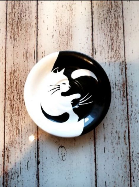Platou yin yang pisici