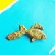 Brosa the golden fish