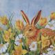 Bunny and Yellow Tulips