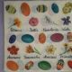 Flowers and Eggs